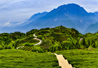 銀價大幅上漲！我國都有哪些銀礦床及找礦有利區(qū)
