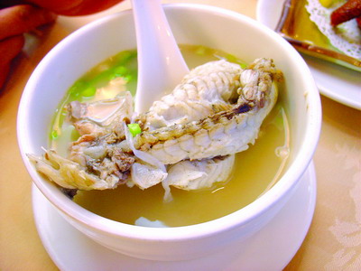 鲃魚(yú)美食